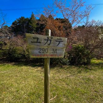 ユガテ…290m（3）

ピークではなく飯能の里（集落）の名前です

ちなみにユガテ、漢字表記では【湯ヶ手、湯ヶ天】