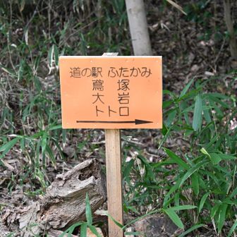あったー今日も、