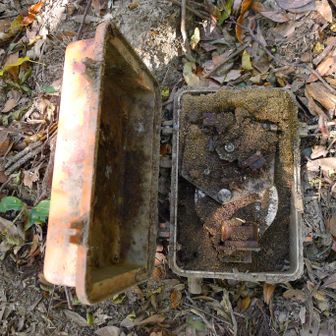 中を開けてみると、、、う、、、