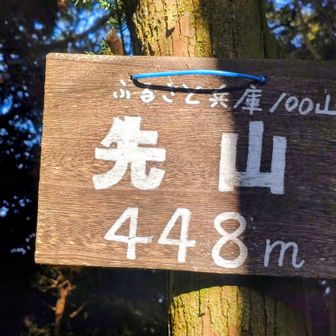 楽してピークに着きました😅