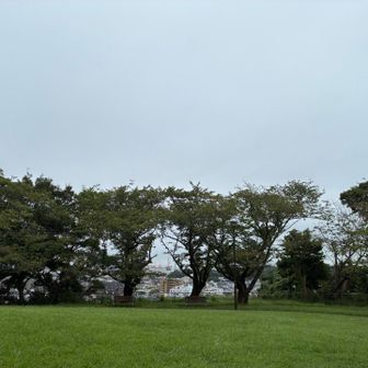 山頂近くの広場
ここの方が山頂より見晴らしが良かった