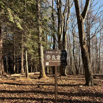 秀麗富嶽十二景 5番、奈良倉山に到着☺️
