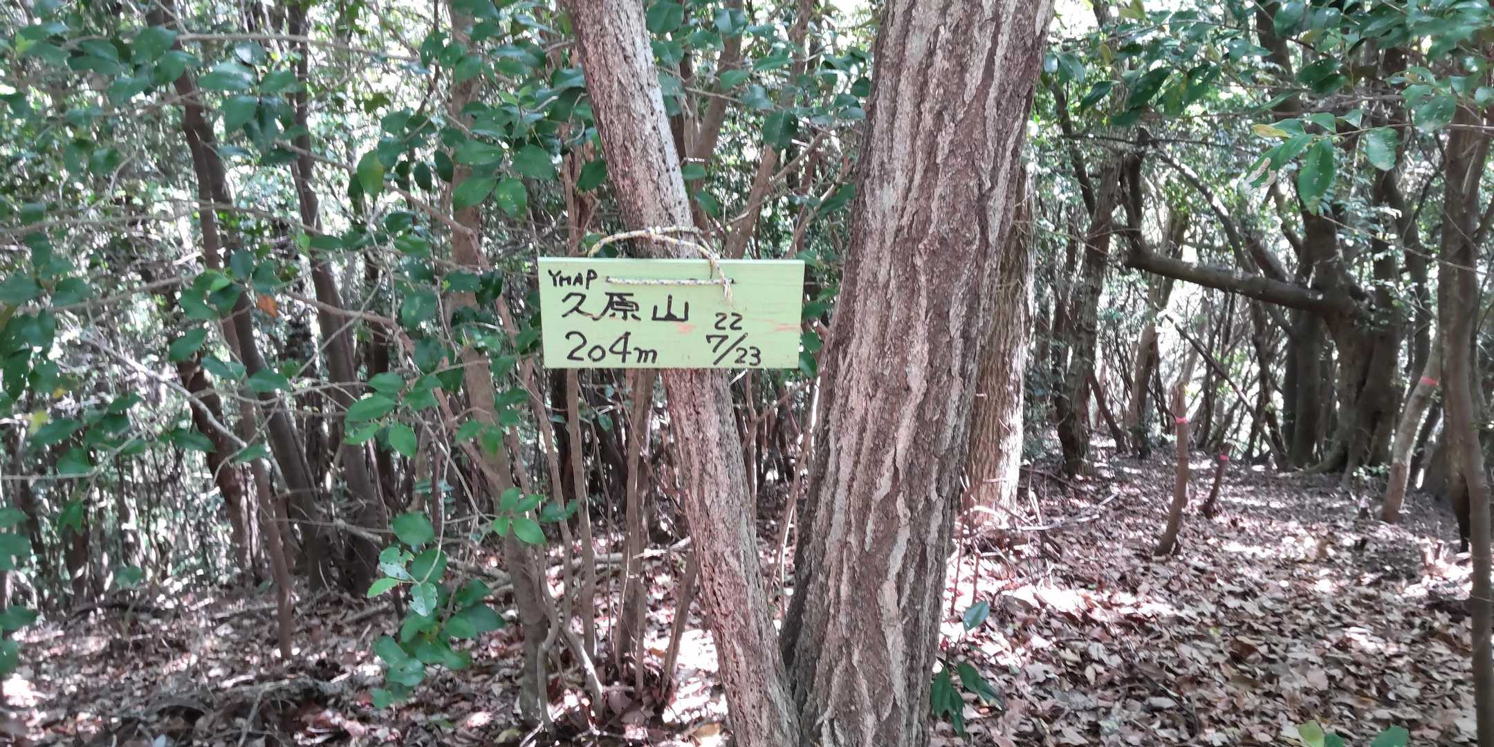 山頂に着きました