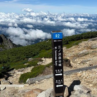 ここが分岐！ここからヘルメット⛑️着用ですねー