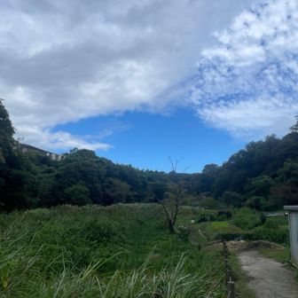 青空が嬉しい〜💙
ビジターセンター？前
おトイレお借りしました、すごーい綺麗でした✨