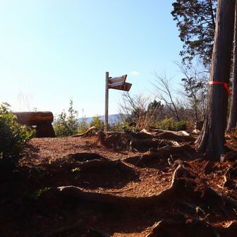 西山高取まで登り切りました。
