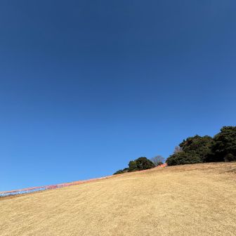 下から見上げるアングルも好き🤩🩵