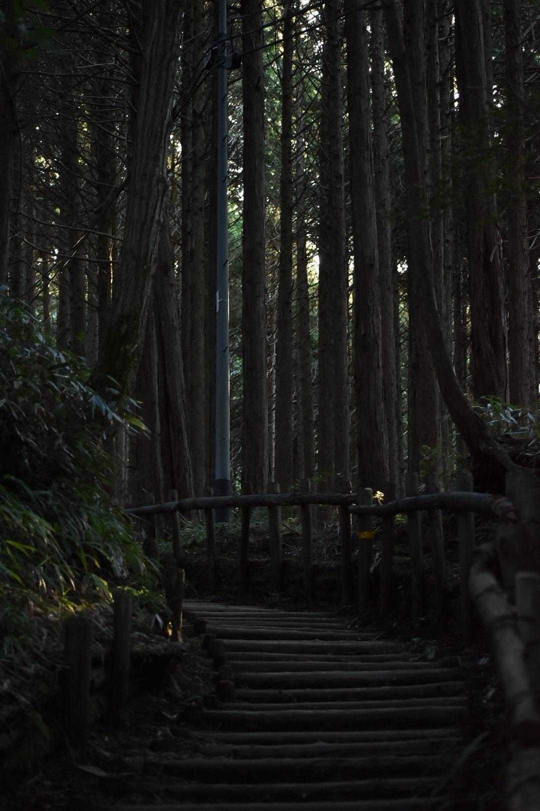 気持ち良いから、