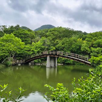 二上神社口駅よりスタート
なるべく歩いた事の無い道を行く🚶