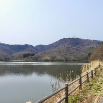 お昼過ぎ、下池より高館山を見ながらスタート❗️ 昨日は北帰行のハクチョウがたくさん休んでいて、賑やかでした🦢