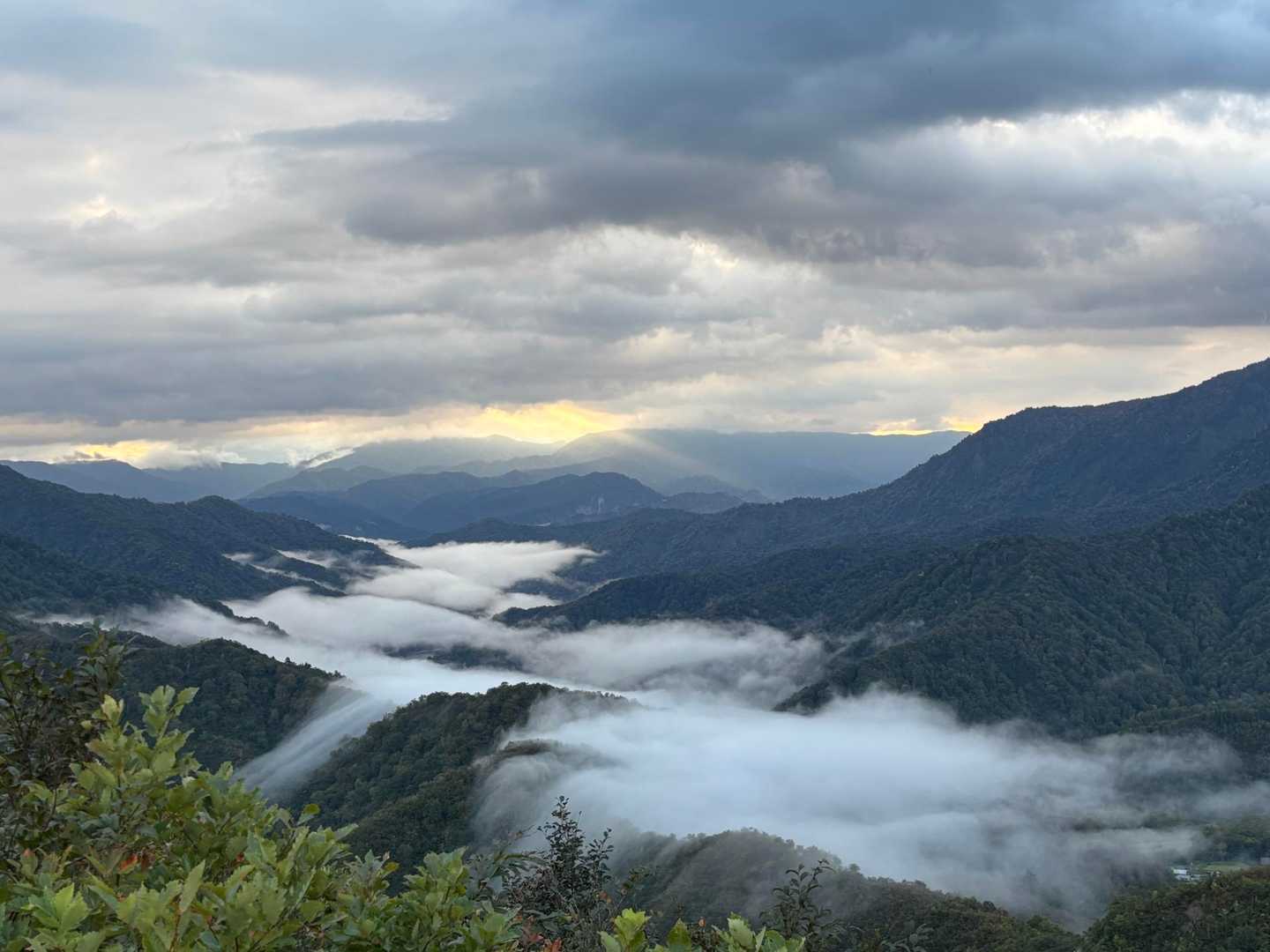 越後駒ヶ岳 往復 | 滝雲が湧く枝折峠から、花や眺望を楽しむ稜線歩きの写真