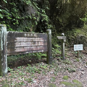 途中、悲願寺への分岐。悲願寺には、蚕の豊作を祈る「豊蚕講」の古い御尊影が残されているそうです。
雨乞いの滝はもうそこ！
