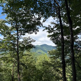 荷田子を越えたあたりで、北側の眺望✨
馬頭刈山あたり