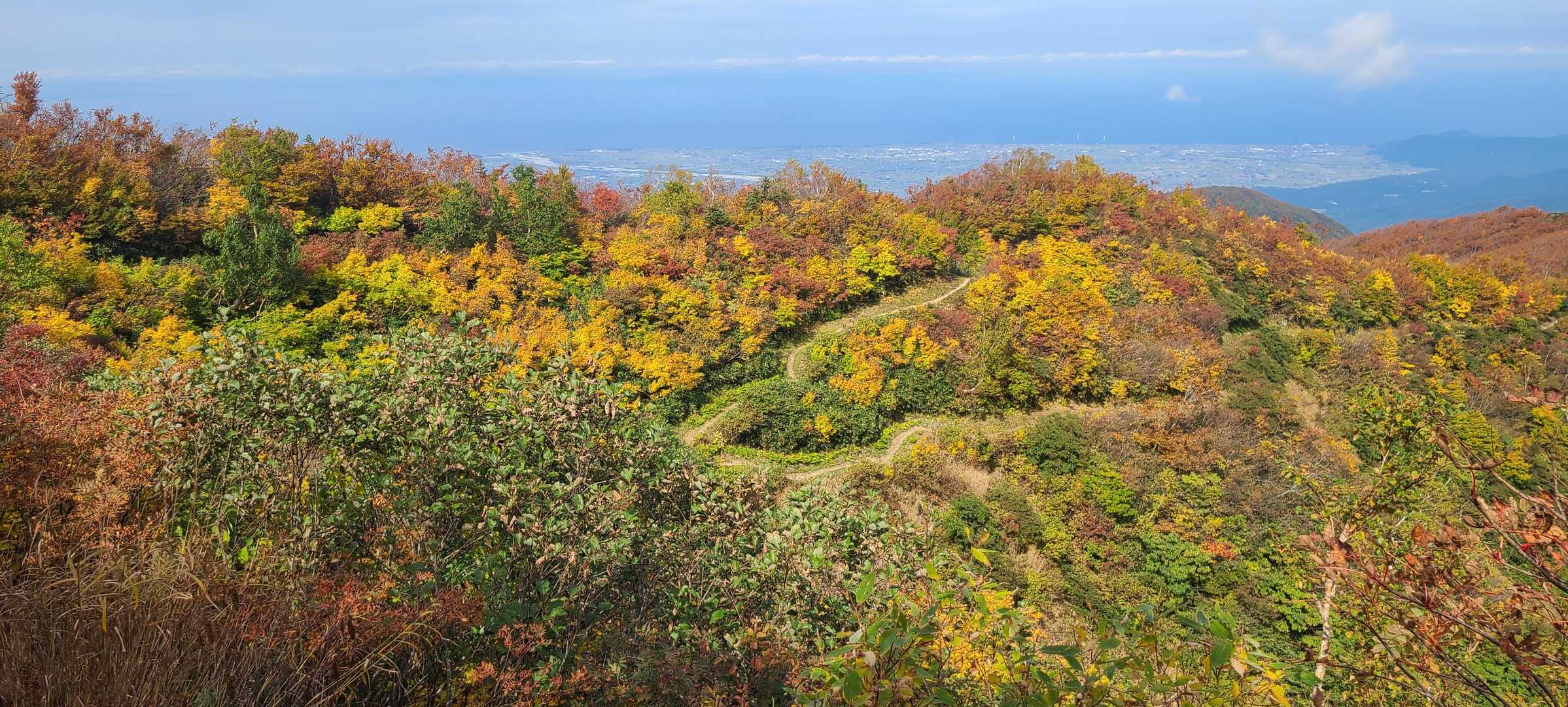 登山道が紅葉でいい感じ