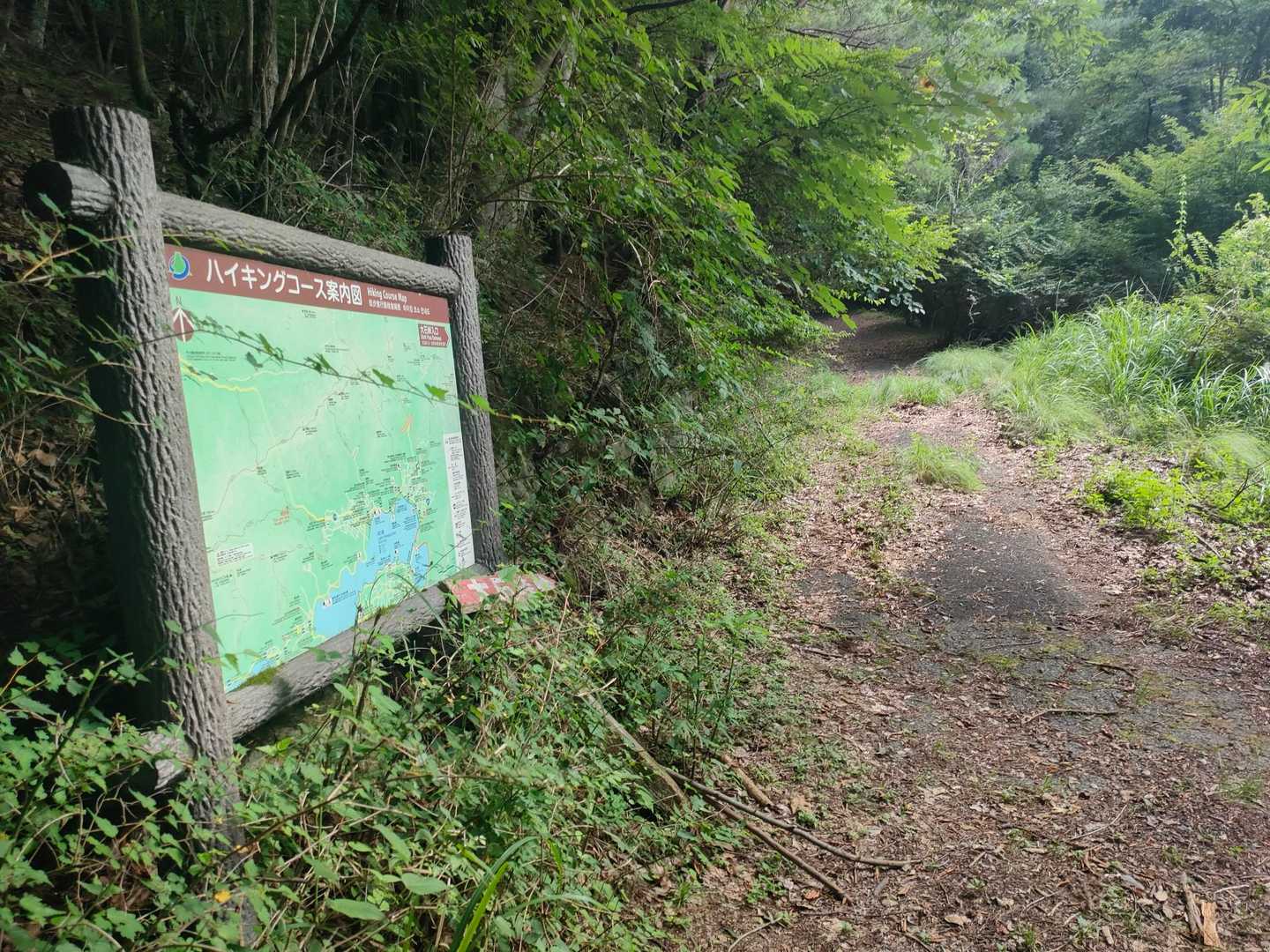 ここから大石峠を目指す