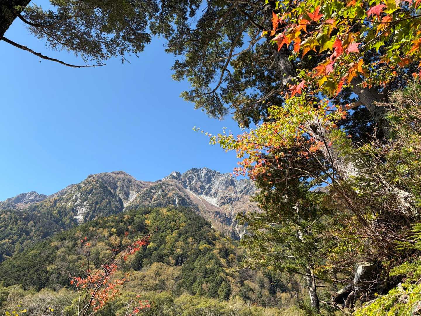 標高が上がるにつれて紅葉🍁も綺麗に。