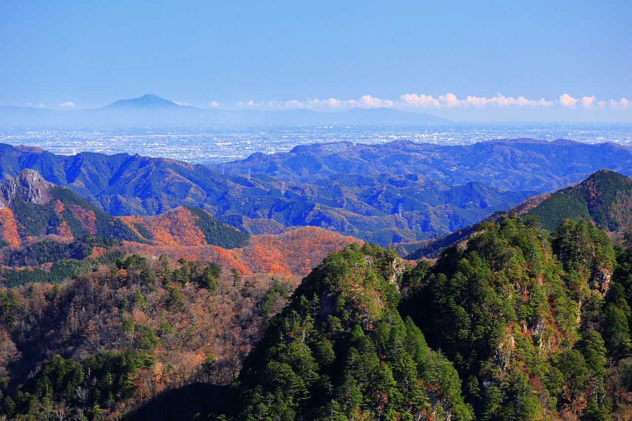 左奥に筑波山🐈‍⬛
冬は空気が澄んでますねー😻