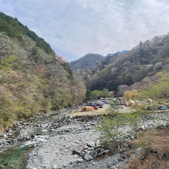 テン泊できるそうだけど、ウェイウェイしていそうだな…🏕️