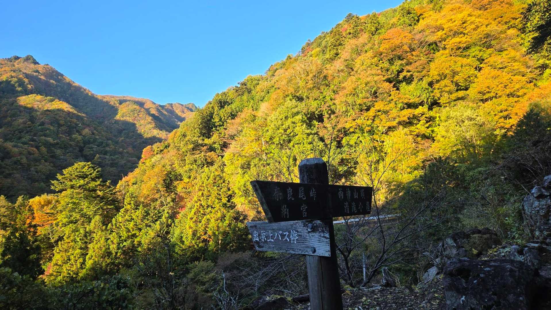 黄金色の山