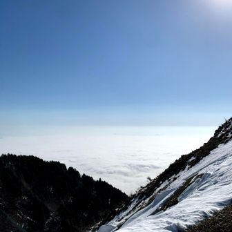 わお❗
琵琶湖全体で▲濃霧→◯雲海？発生😆✨