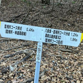 沢筋に沿って歩くと⑨監視所上の広場