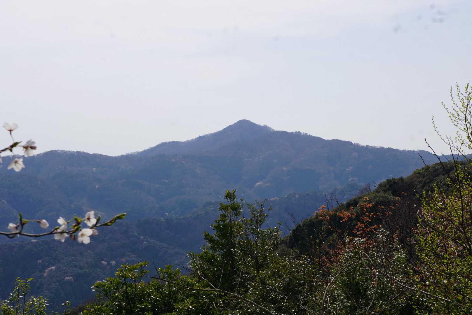 京羅山は綺麗に見えます🌝