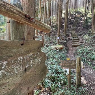 お久しぶりの久留野の大階段💦
今日は登ったよ💪