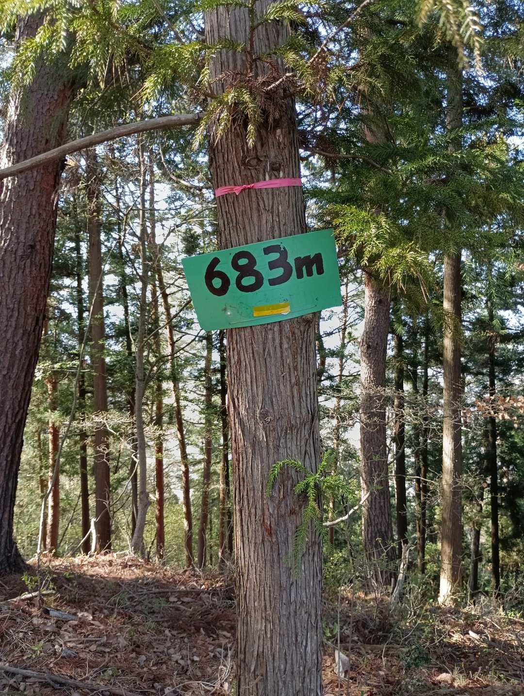 象山-奥象山-鞍骨山-天城山 周回コースの写真