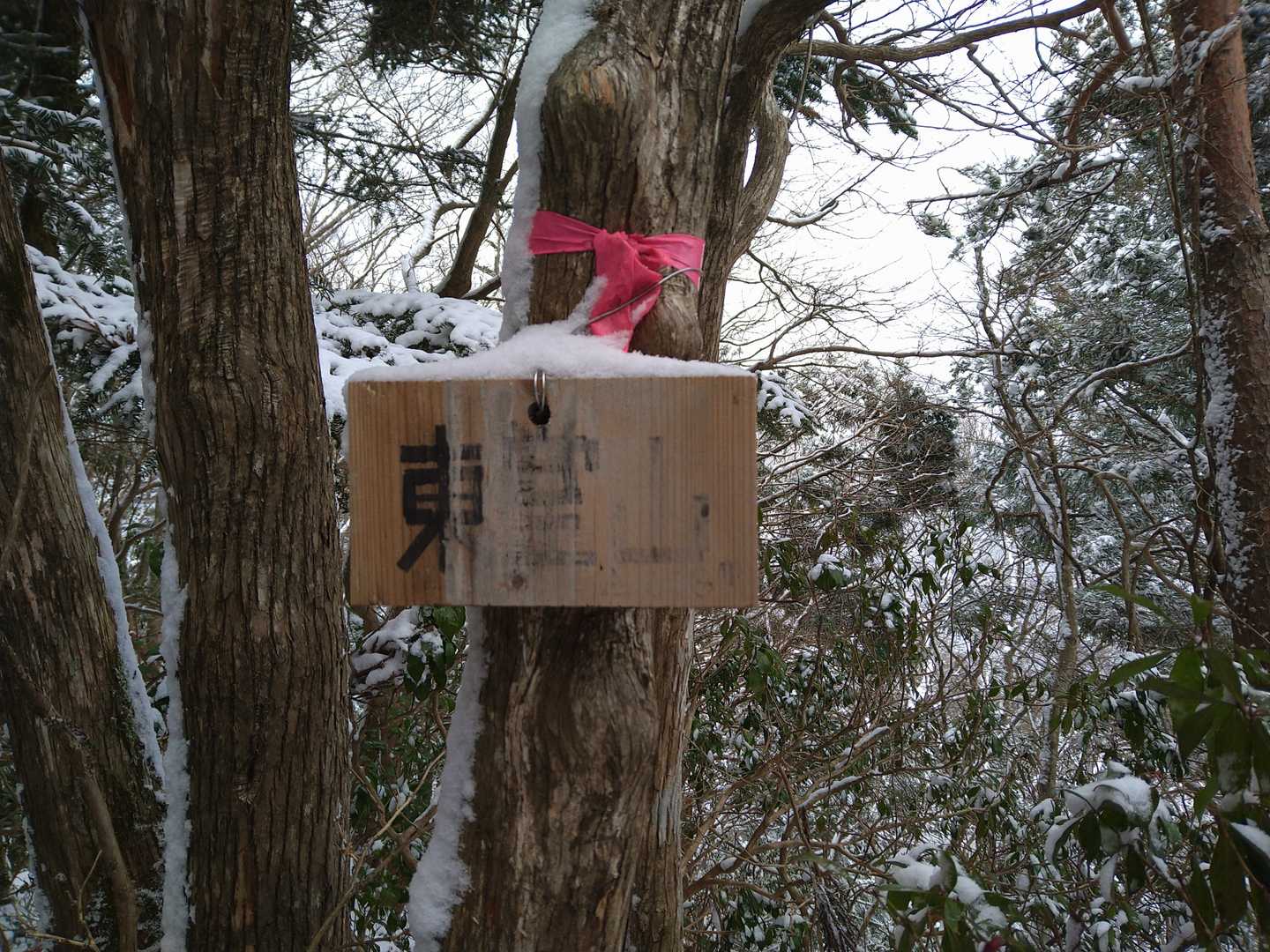 東堂山の山頂到着