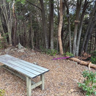 看板も今まで見てきたシリーズではありません