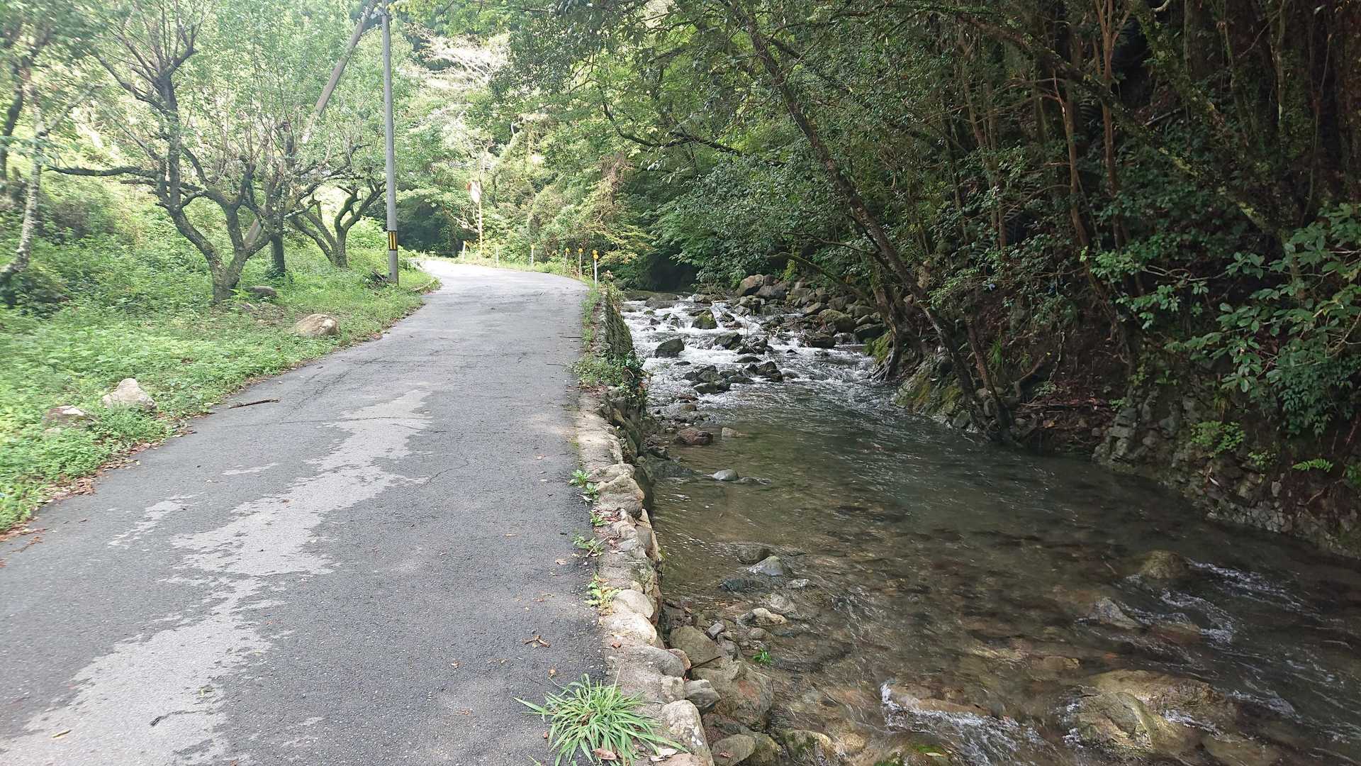 スタートは川沿いに歩きます🚶