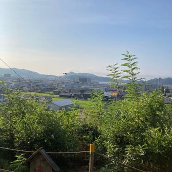 蔵王山が見える。
今月初めに山歩がてら、早朝登ったら、相方が下山途中で熱中症になって、歩けなくなり、かなり焦りました。
1時間くらいだからと思って、水は500ccのペットボトル1本だけ、それぞれ持って上がったので、自分の水もあげて、たまたま持ってた塩分チャージのタブレットと飴ちゃんを何粒か食べて、ゆっくり下山しました。
蔵王山で遭難なんて😰甘く見ず、用意はしといた方がいい事を学びました。💧