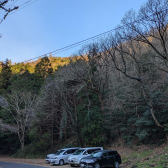 三菱率高い 3/4 😄