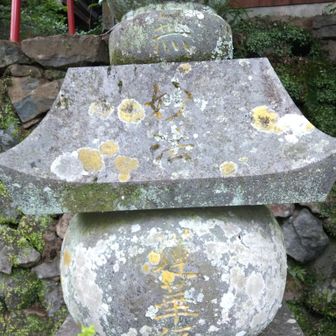 この４段の石に「南・無・妙法・蓮華経」と刻印されています。ありがたいです❗️
