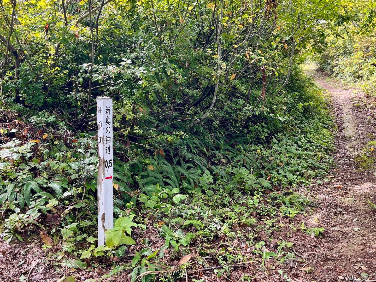 左は鎖があったような…🤔
迷わず右へ進みます🏃‍♀️‍➡️
