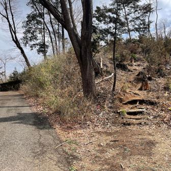 三叉路　↑真ん中舗装路で鞍掛山へ
