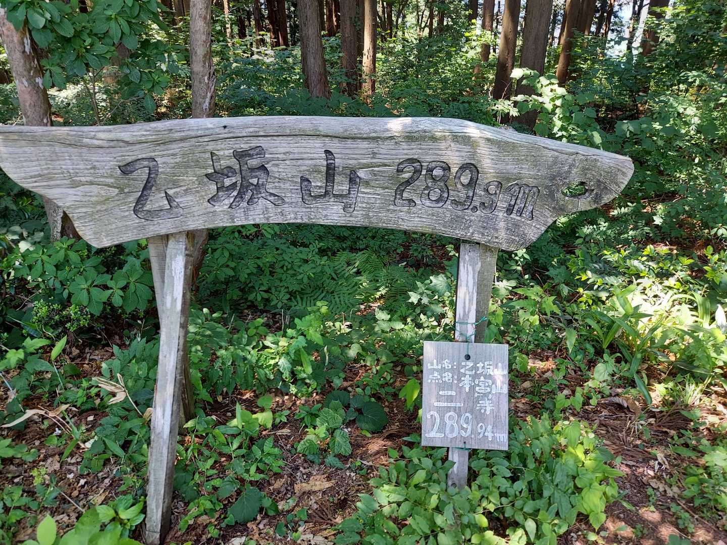 乙坂山