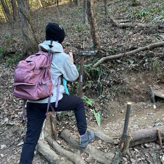柏木山への登山口
かっこいいポーズのhimeちゃん
