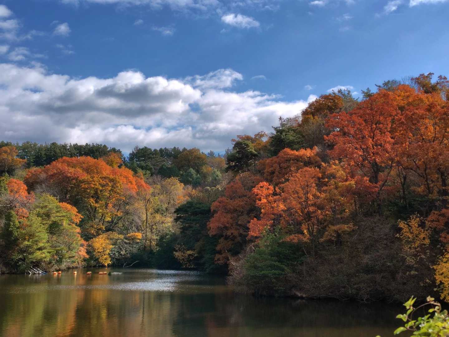 うん、🍁🍂もとても素敵💕