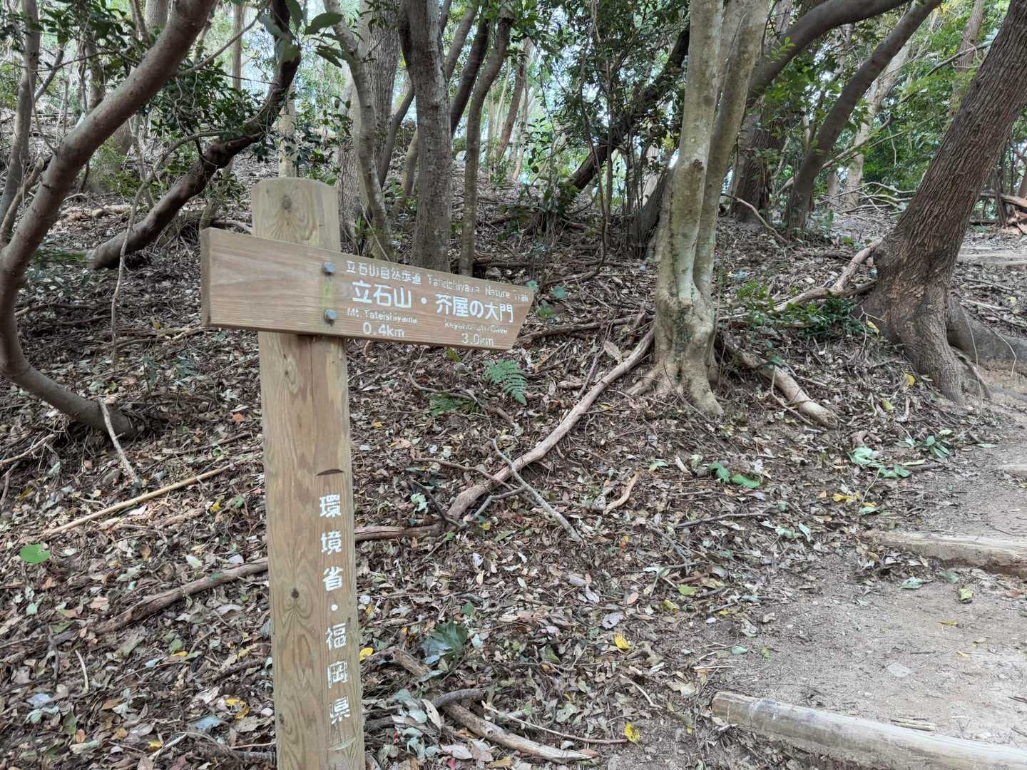ランチの後は腹ごなしに立石山へ