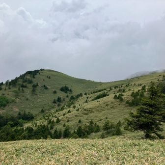 富士見台