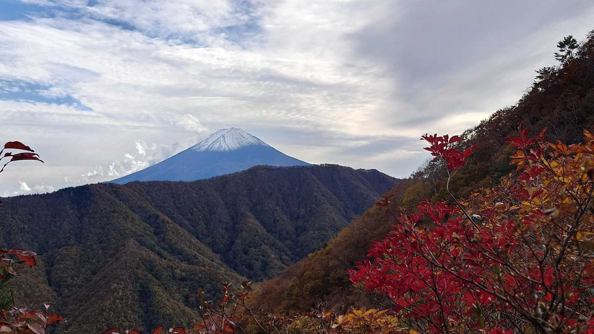 今日も素晴らしい🗻