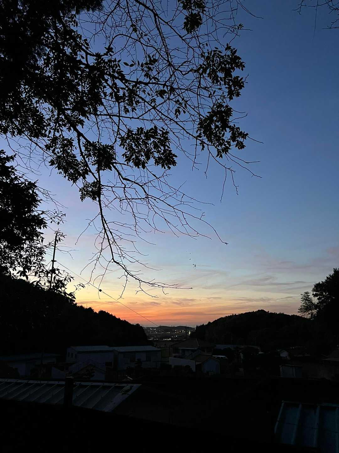 万灯山 往復コースの写真