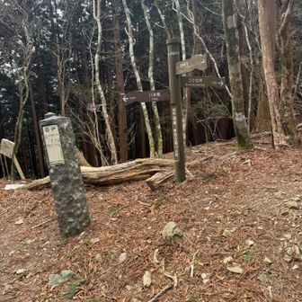 冷水山・百前森山・果無山 果無峠に到着。疲れた😮‍💨　山頂まであと少し