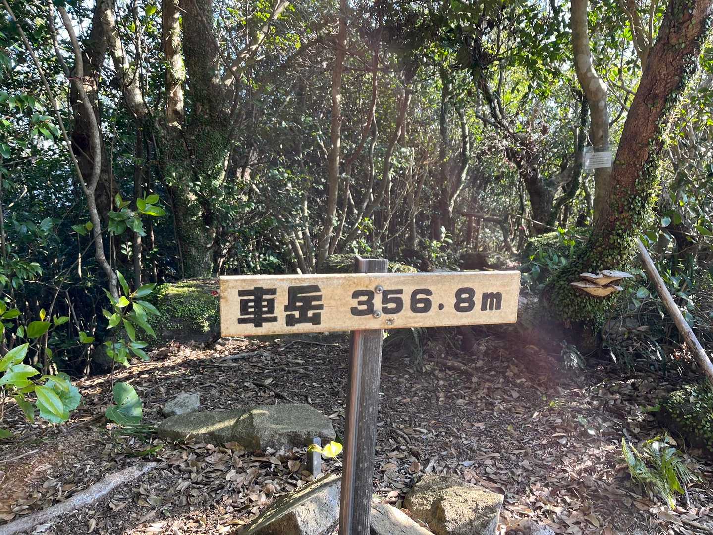サクッと着いたわ