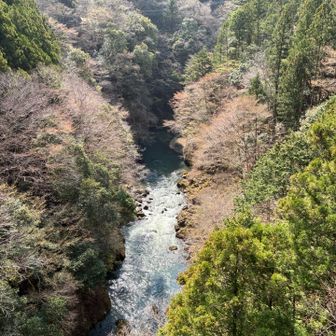 谷は素晴らしい景色