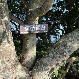 潮見公園は弥五郎山山頂でもあるようです。