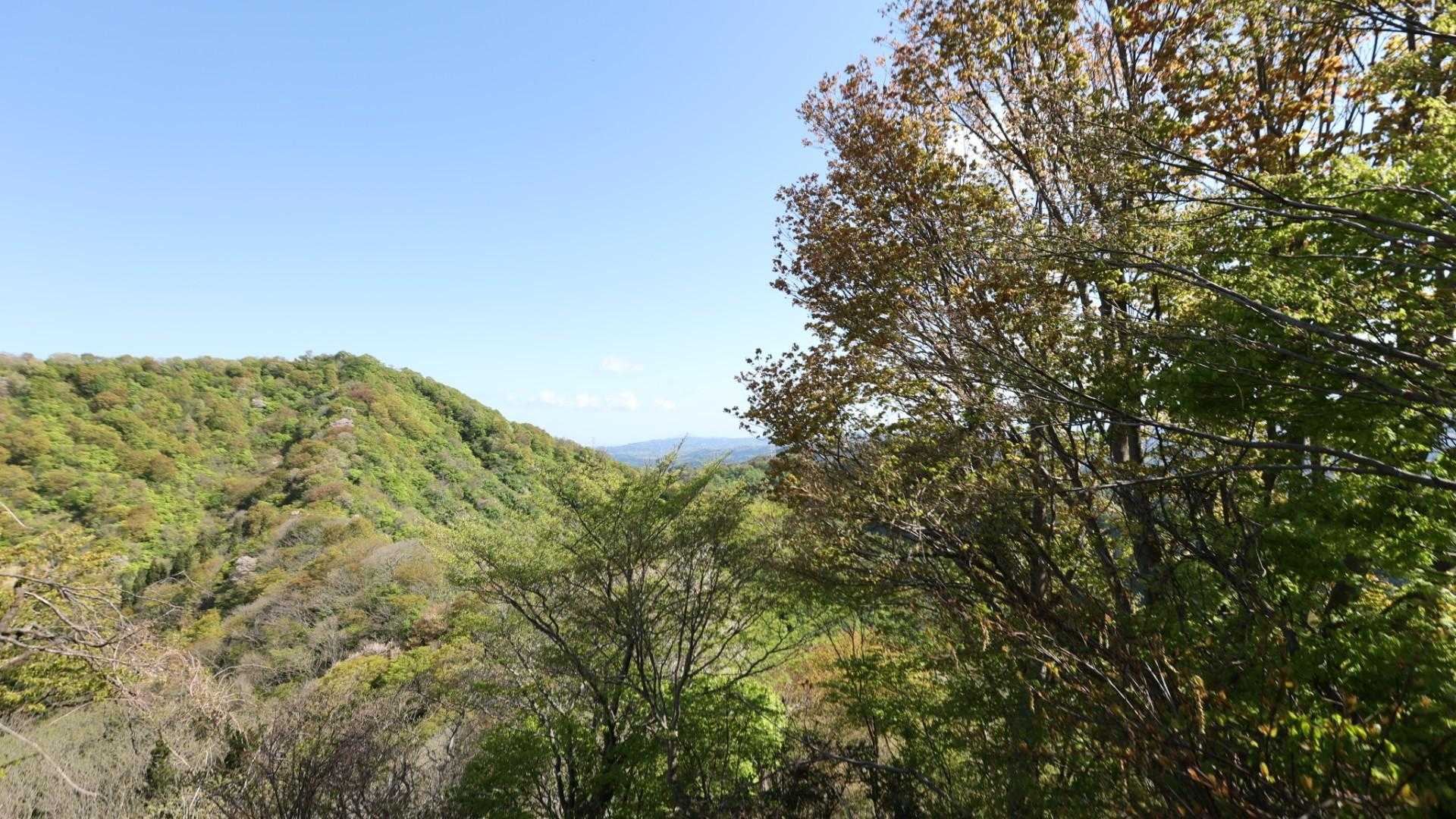 林道登山口-南条八石山-久之木峠-八石山 周回コースの写真