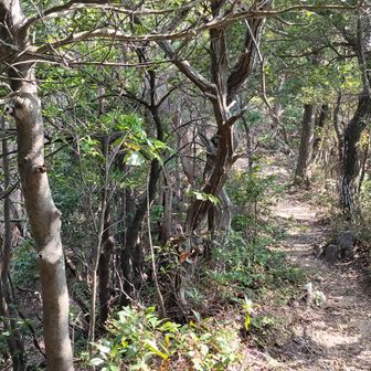 ぐるっトレイル
35kmのコースだそうです