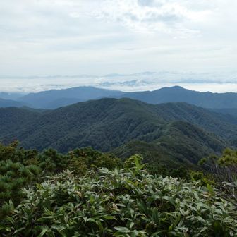 来た道を振り返ってみた